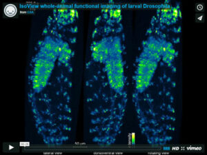 Video Credit: Raghav Chhetri, Fernando Amat, Yinan Wan, Burkhard Höckendorf, William Lemon and Philipp Keller.