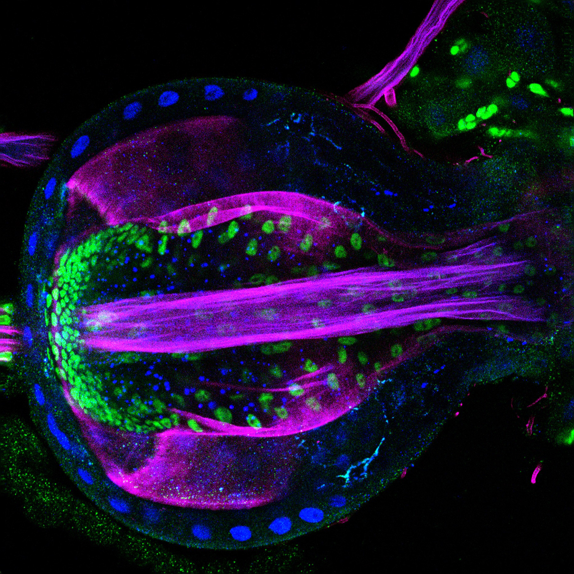 2026-DIA-Image-RU2-Llimargas-2 Image credit: Andrew J. Davidson